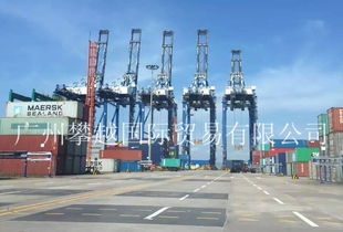 物流洗牌在即 黃埔海關(guān)破獲2億元快件走私大案，銷售代理鏈條浮出水面